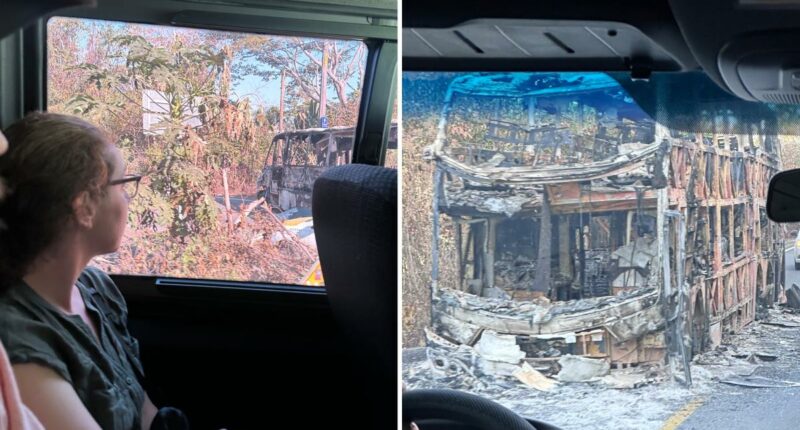 Americans stranded in Puerto Vallarta describe city's destruction as they flee cartel violence