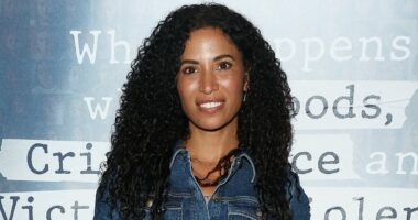 An Epstein survivor on why his Irish links MUST be investigated