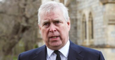 Andrew 'billed UK taxpayers for massage services' while trade envoy