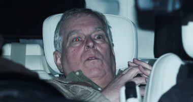 Andrew MUST be removed from line of royal succession, says Minister