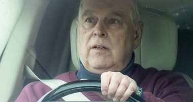 Andrew could face prosecution for a 'great many' sexual offences