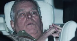 Andrew 'in peak fear' after arrest, body language expert claims