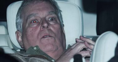 Andrew 'in peak fear' after arrest, body language expert claims