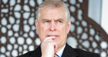 Andrew is arrested in bombshell raids on Windsor and Sandringham homes: Live updates