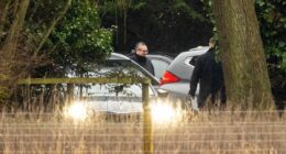 Andrew is arrested on his birthday in police raid on Sandringham home