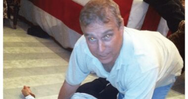 Andrew shamelessly pestered Jeffrey Epstein to let him stay at his multi-million-pound homes in Paris and New York - and took advantage of paedophile's cars and drivers