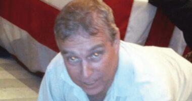 Andrew swore violently at Palace policeman over 'random party girl'