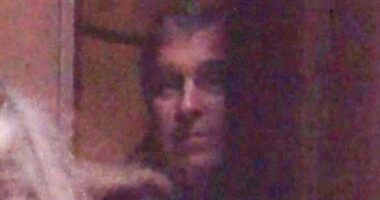 Andrew's Met Police protection officers were 'told to guard Jeffrey Epstein dinner party in New York', emails reveal