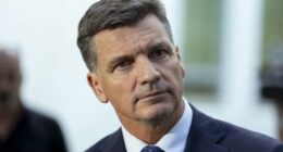 Angus Taylor emerges victorious from Liberal leadership spill