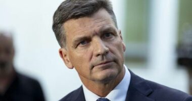 Angus Taylor emerges victorious from Liberal leadership spill