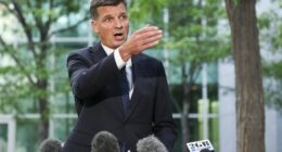 Angus Taylor is  set to challenge Sussan Ley for the Liberal leadership. What happens now?