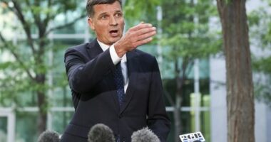 Angus Taylor is  set to challenge Sussan Ley for the Liberal leadership. What happens now?