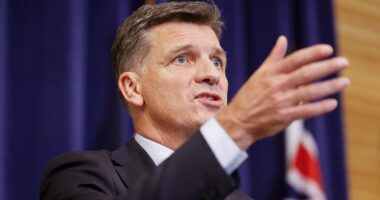 Angus Taylor says what every Australian is thinking about ISIS brides