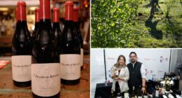 Another California wine giant shuts site and axes staff as chaos rips across Napa Valley