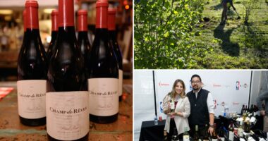 Another California wine giant shuts site and axes staff as chaos rips across Napa Valley