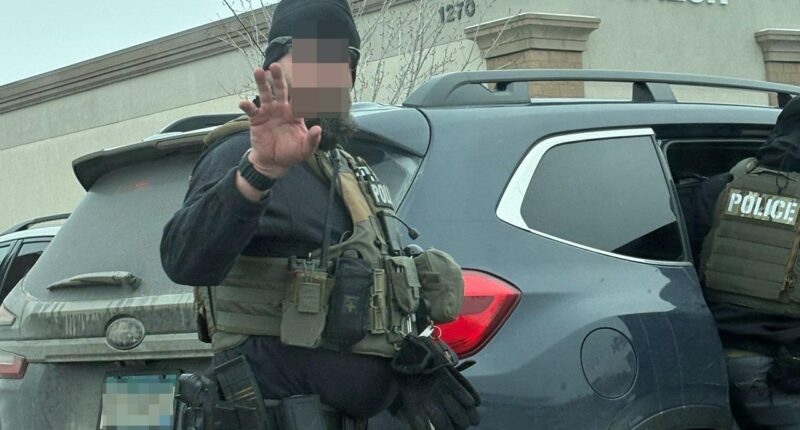 Anti-ICE 'digital Minutemen' use military-grade surveillance tactics against feds