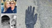 Arizona couple found bloodied black glove, blood on rock in desert mile from Nancy Guthrie home