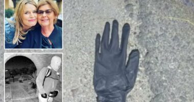 Arizona couple found bloodied black glove, blood on rock in desert mile from Nancy Guthrie home