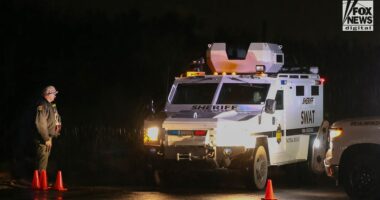 Arizona man detained in SWAT operation denies link to Nancy Guthrie abduction