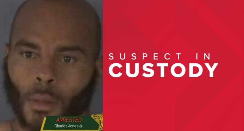 Arrest made in deadly stabbing of man in Orange Park