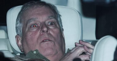 Arrested Andrew is pictured being released from police custody