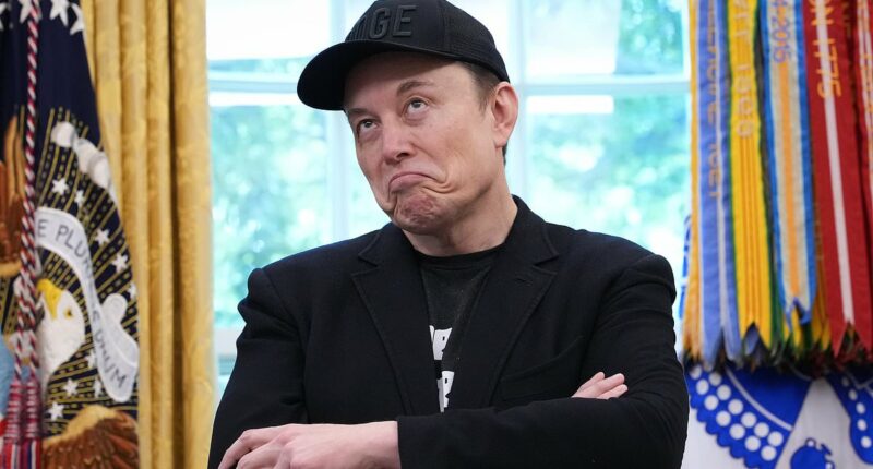 As Elon Musk confirms riches can't buy contentment, REV GILES FRASER asks: What have tickling yourself and the endless pursuit of happiness got in common? They just don't work