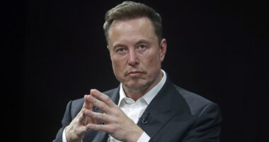 As Elon Musk's SpaceX merges with his AI firm, will shares rocket?