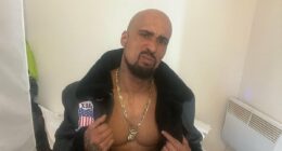 Aspiring rapper faces jail for pensioner mauled to death by XL Bullies