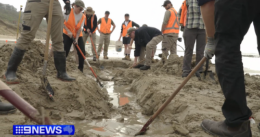 Ocean Grove whale fossil 20 million years old 26 February 2026