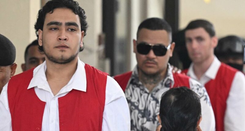 Aussie charged with gangland murder in Bali apologises