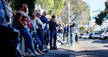 Potential bidders attend an auction