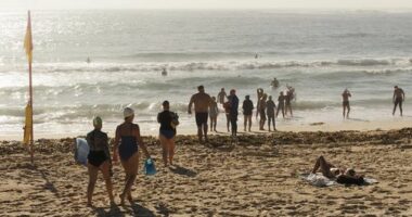 Ocean swimmers head into the water at Coogee in Sydney as the sun shines on the water.