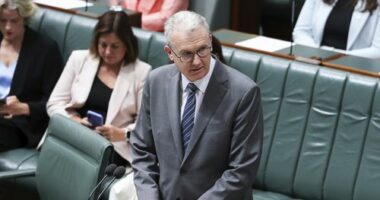 Minister for Home Affairs, Minister for Immigration and Citizenship, Minister for Cyber Security, Minister for the Arts and Leader of the House Tony Burke during the presentation and motion for second reading of the Combatting Antisemitism, Hate and Extremism (Firearms and Customs Laws) Bill 2026, in the House of Representatives at Parliament House in Canberra on Tuesday 20 January 2026. fedpol Photo: Alex Ellinghausen