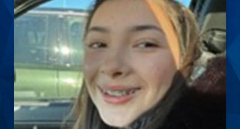 BOLO: Search Continues for Arizona Teen Girl Who Never Came Home from School