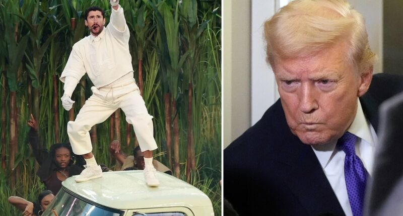 Bad Bunny's halftime show sparks war among bitterly divided fans