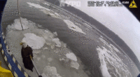 Police attempt to rescue a bald eagle trapped on ice.