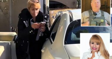 Beverly Hills "squatter" Rita Ortiz evicted after $570M lien scheme