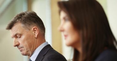 Angus Taylor and Jane Hume at a press conference