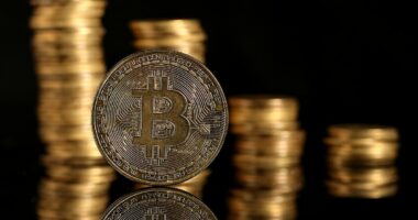 Bitcoin is useless AND worthless, says HAMISH MCRAE: Digital currency will sink to zero