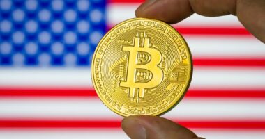 Bitcoin value halves and crypto geeks see fortunes wiped out