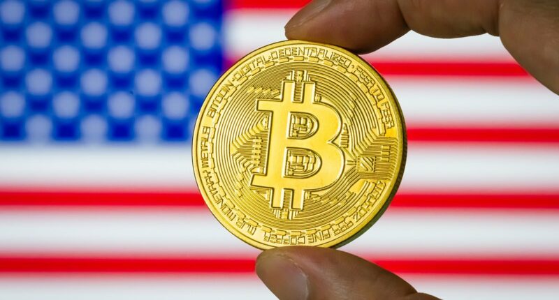 Bitcoin value halves and crypto geeks see fortunes wiped out