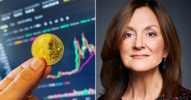Bitcoin will go to zero. Wall Street heavyweights tell me it's a scam. If you hold it be prepared to lose everything, says RUTH SUNDERLAND