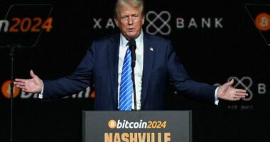 Bitcoin's plunge could trigger a financial crash: Why Big Short investor Michael Burry has warned of a 'death spiral'