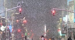 Blizzard Hits New York City and Northeast as Snowfall, Winds Intensify Forcing Millions to Stay Home