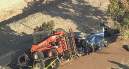 Bobcat falls off trailer, crushing car and trapping woman