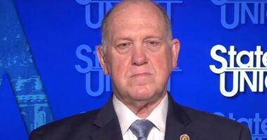 Border czar makes surprising admission about ICE agents wearing masks