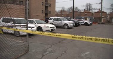 Brainerd, Chicago shooting: Antoine Alexander dies after being shot in parking lot in 9400-block of South Ashland Avenue