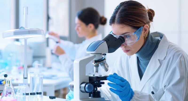 Breakthrough finds cancer treatment causes disease to 'self-destruct'