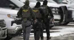 British grandmother detained by ICE for six weeks despite having a valid visa tells fellow tourists: Don't go to America, don't go to the World Cup