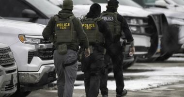 British grandmother detained by ICE for six weeks despite having a valid visa tells fellow tourists: Don't go to America, don't go to the World Cup